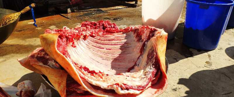 918博天堂·btt(中国游)官方网站